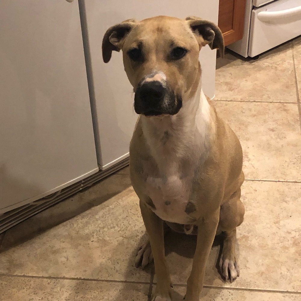 Meet your Posher, Kate